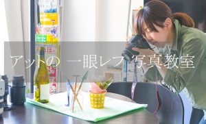 一眼レフ写真教室へのリンク画像|プロカメラマンが教える横浜の写真教室でのフォトレッスンの様子を撮影した写真