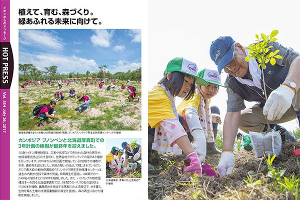 カンボジアと北海道での植樹活動