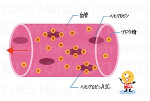 イラストレーターはらゆうこの描いたヘモグロビンのイラスト