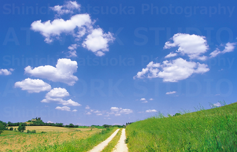 Back To The Picture 撮っておきの街 同潤会アパート在りし日の表参道 At