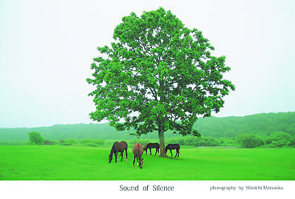 松岡伸一が撮影した日高の牧場